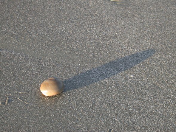 pic