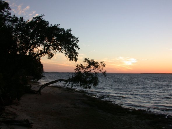 pic