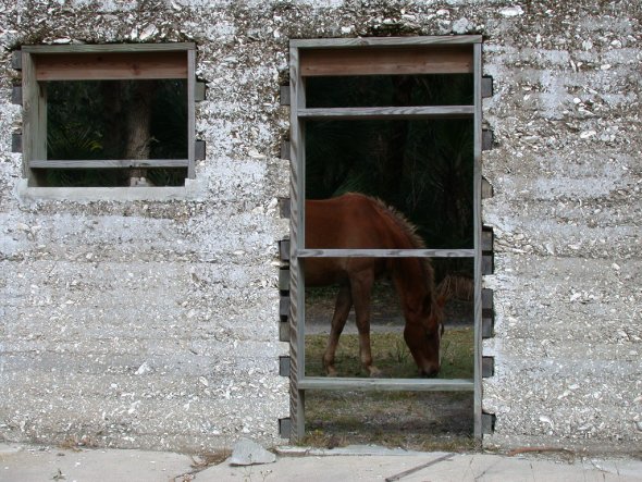 pic