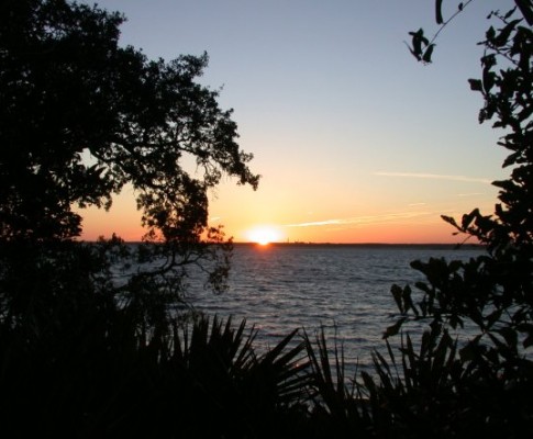 Cumberland Island, GA