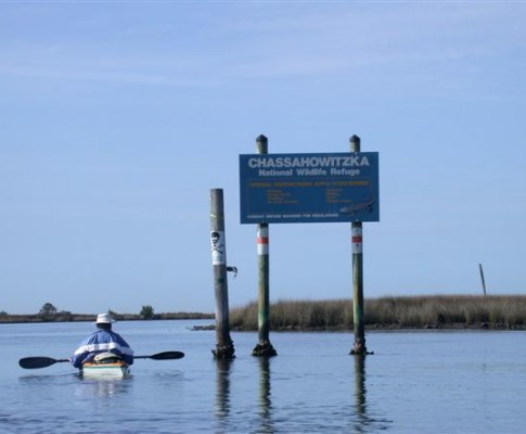 Homosassa FL
